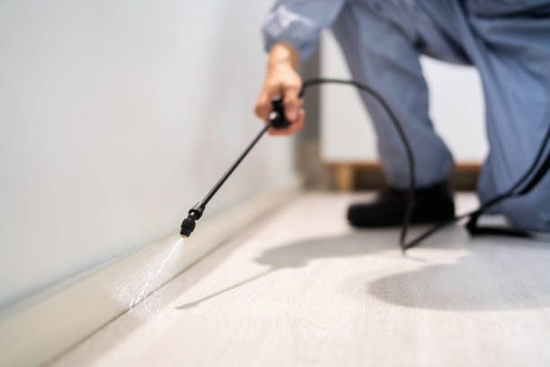 Licensed Pest Control service in Amelia, LA - Show Me Pest Control