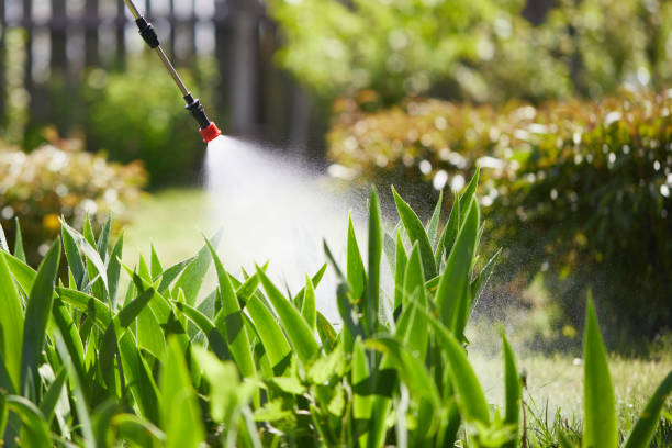 24/7 Emergency Wasp Removal experts in Amelia, LA