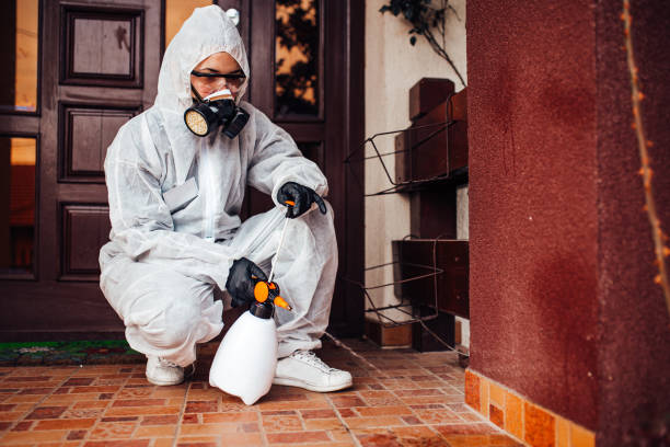 Reliable Wasp Removal contractor in Amelia, LA by Show Me Pest Control