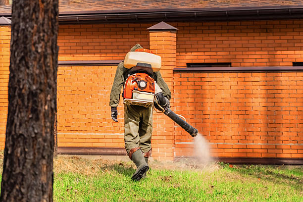 Top rated local Wasp Removal specialists in Amelia, LA